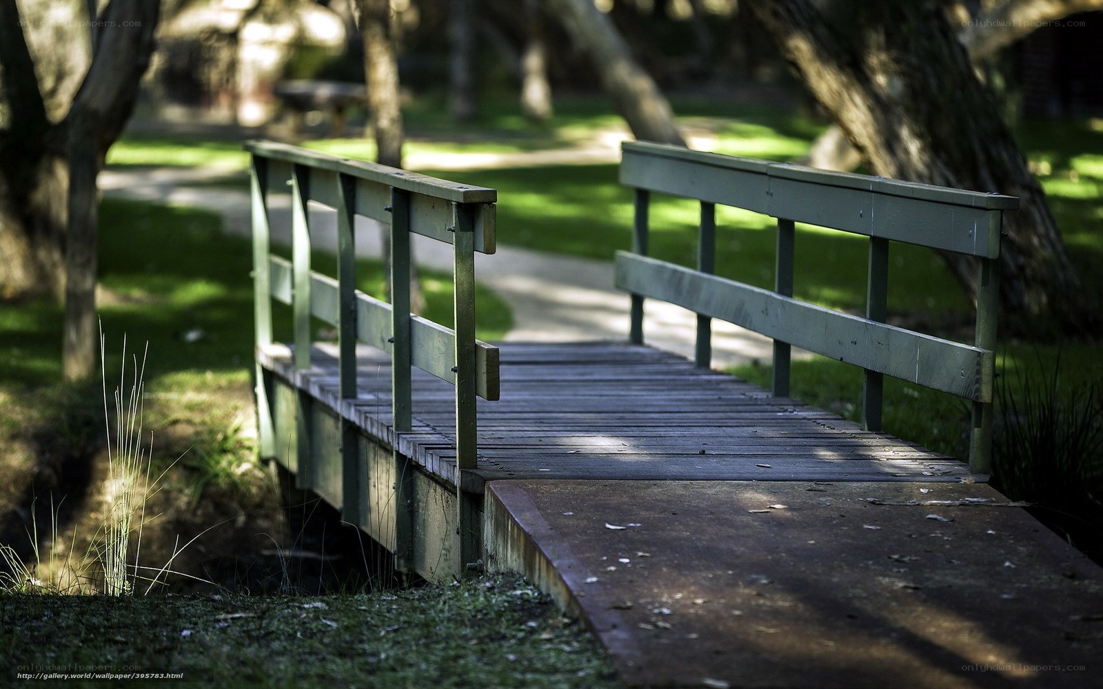 Wooden bridge in a park