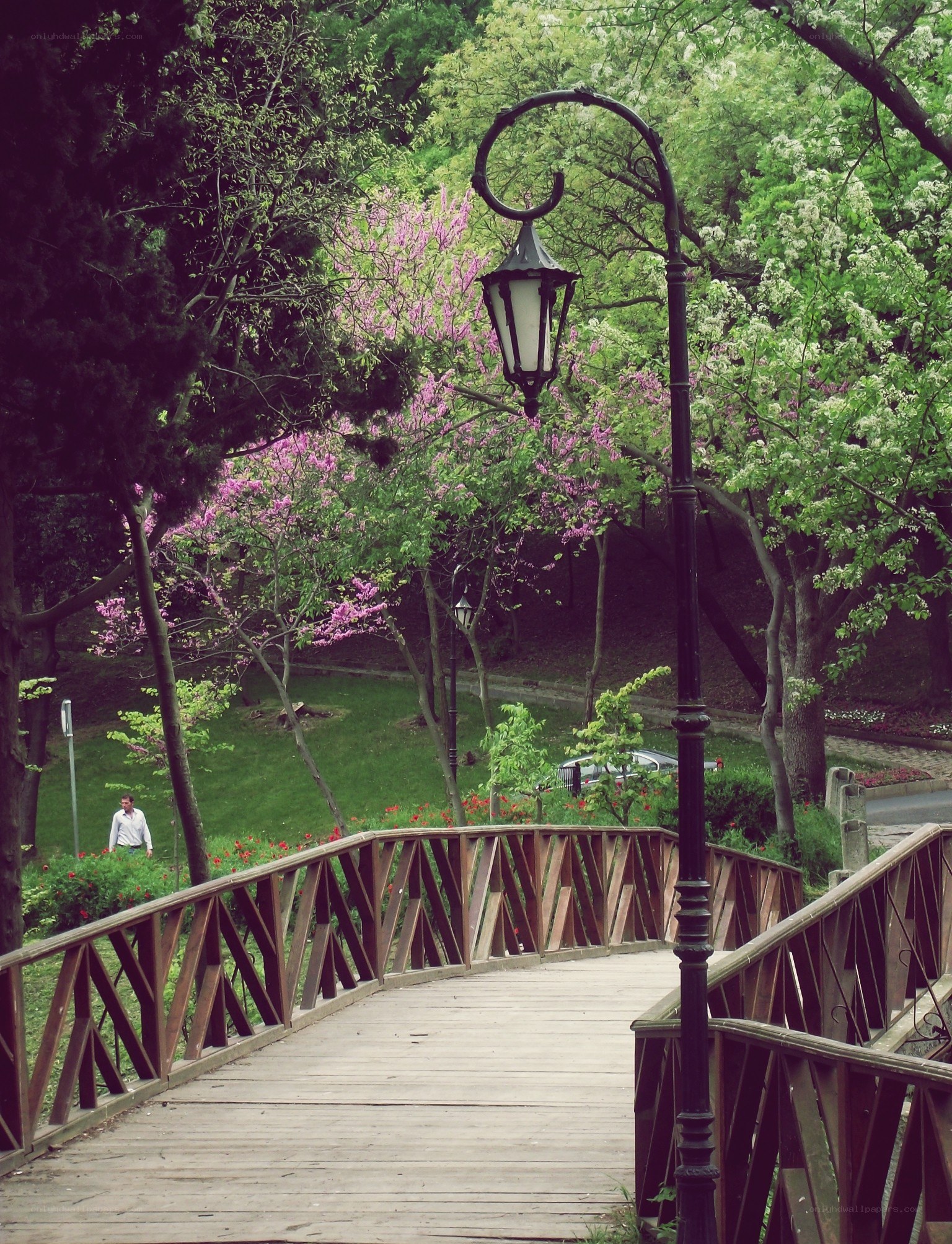 Wooden bridge in a spring park