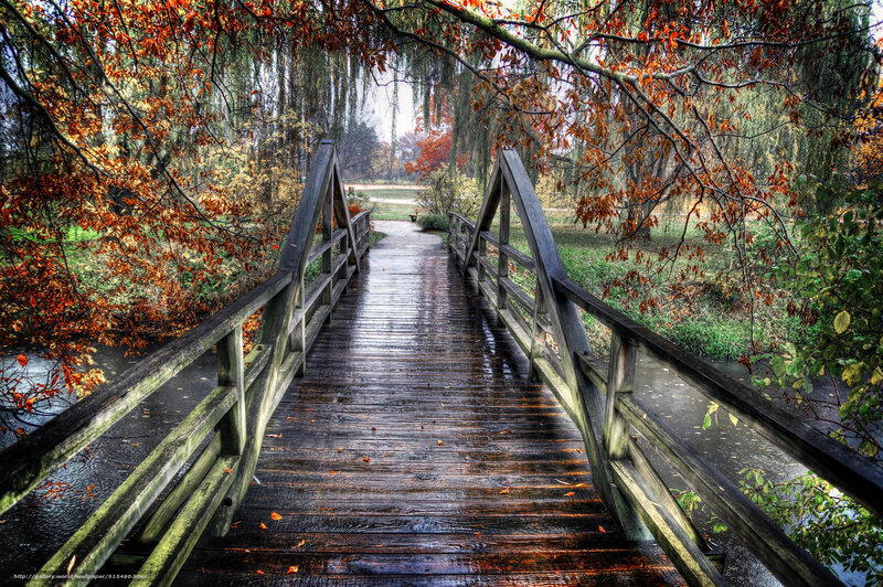 Wooden Bridge in Autumn — Brown, Serene, Photograph