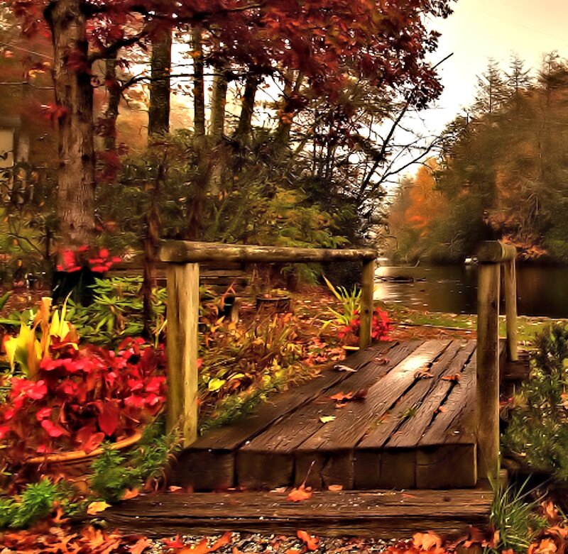 Wooden Bridge in Autumn — Brown