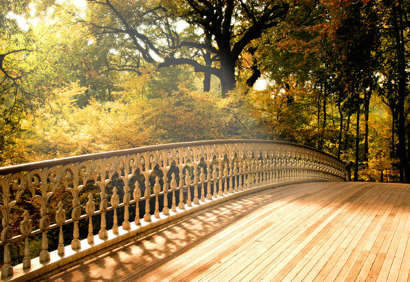 Wooden bridge in autumn forest