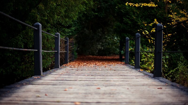 Wooden bridge in autumn forest