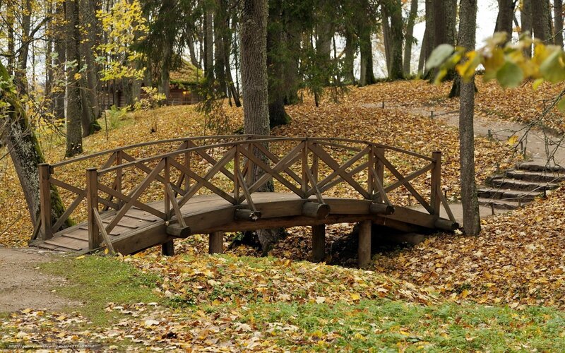 Wooden bridge in autumn forest