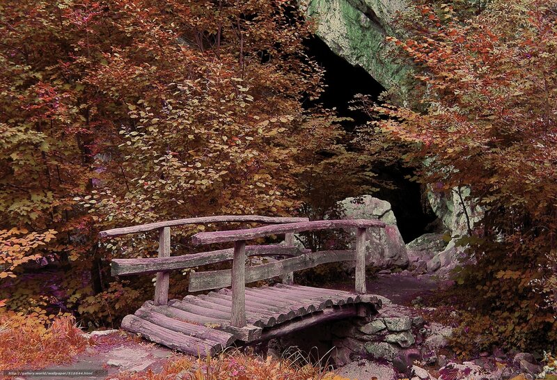 Wooden bridge in autumn forest