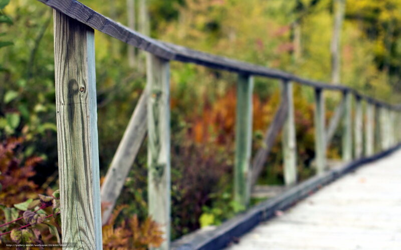 Wooden bridge in autumn forest