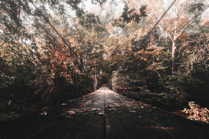 Wooden bridge in autumn forest