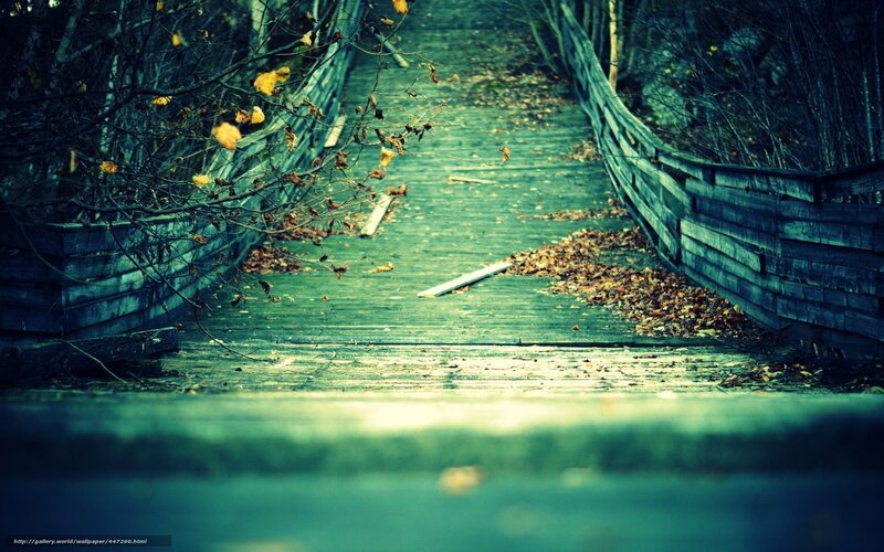 Wooden Bridge in Autumn — Green