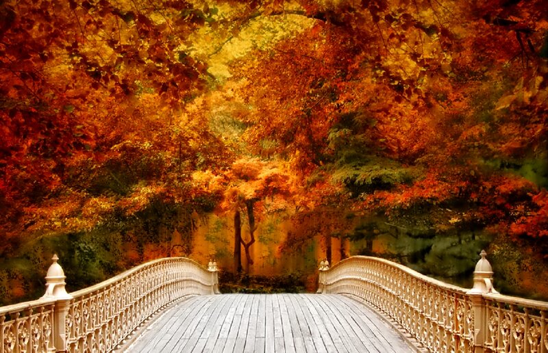 Wooden Bridge in Autumn — Orange, Serene, Photograph