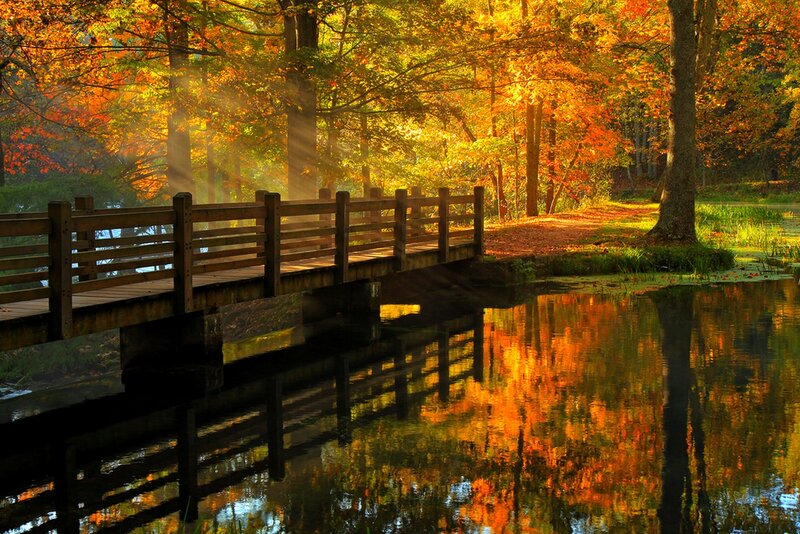 Wooden Bridge in Autumn — Orange, Serene, Photograph, Trees, River