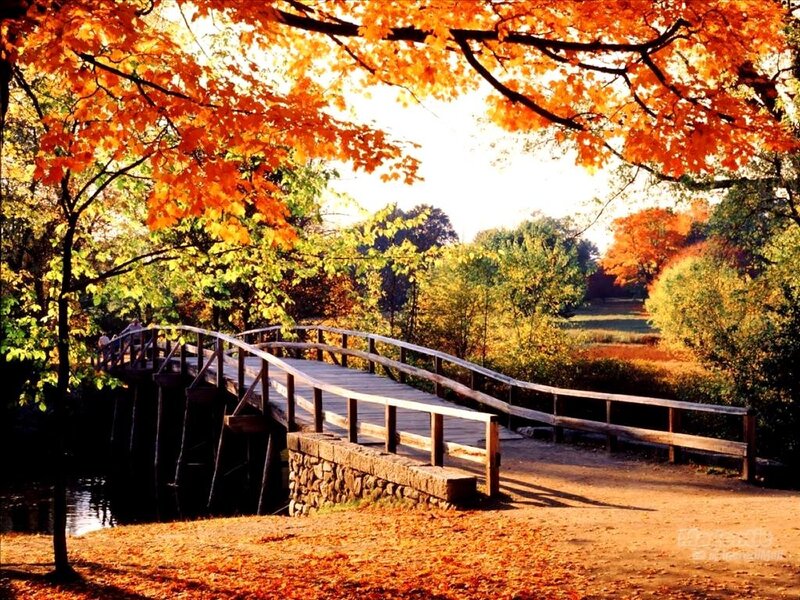 Wooden Bridge in Autumn — Orange