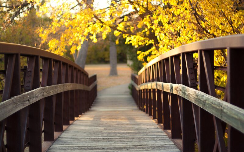 Wooden bridge in autumn park