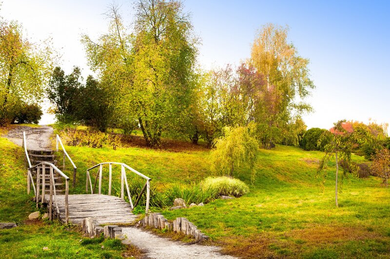 Wooden bridge in autumn park
