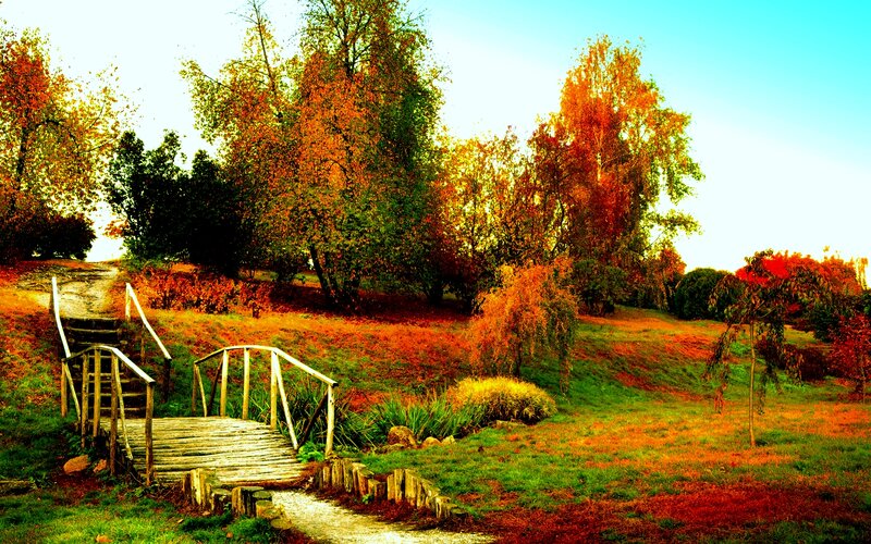 Wooden Bridge in Autumn Park — Orange