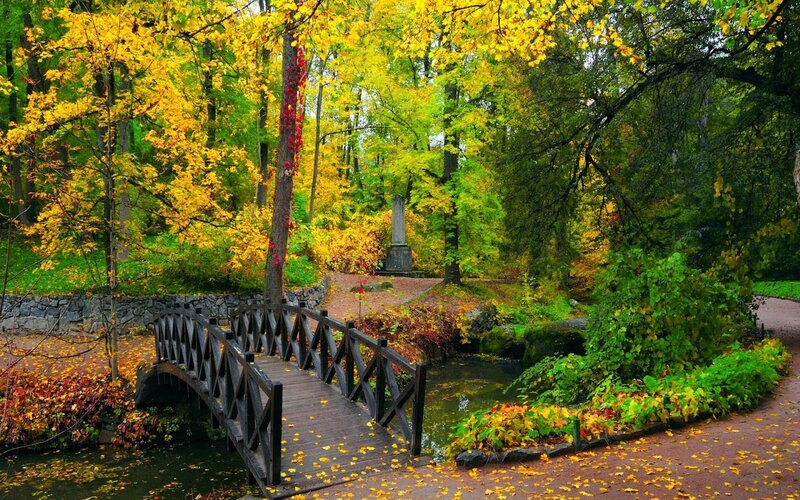 Wooden Bridge in Autumn Park — Yellow