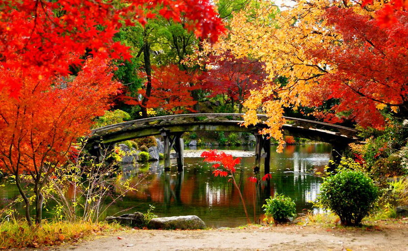 Wooden Bridge in Autumn — Red, Serene, Photograph, Trees, Pond