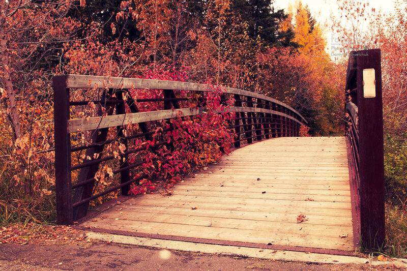 Wooden Bridge in Autumn — Red, Serene