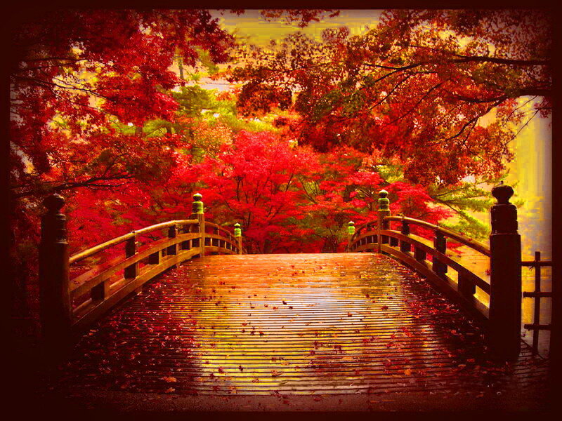 Wooden Bridge in Autumn — Red