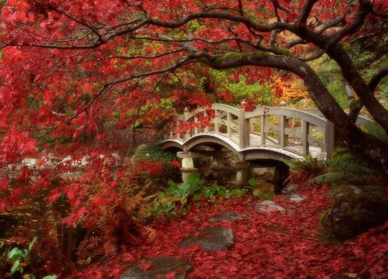 Wooden Bridge in Autumn