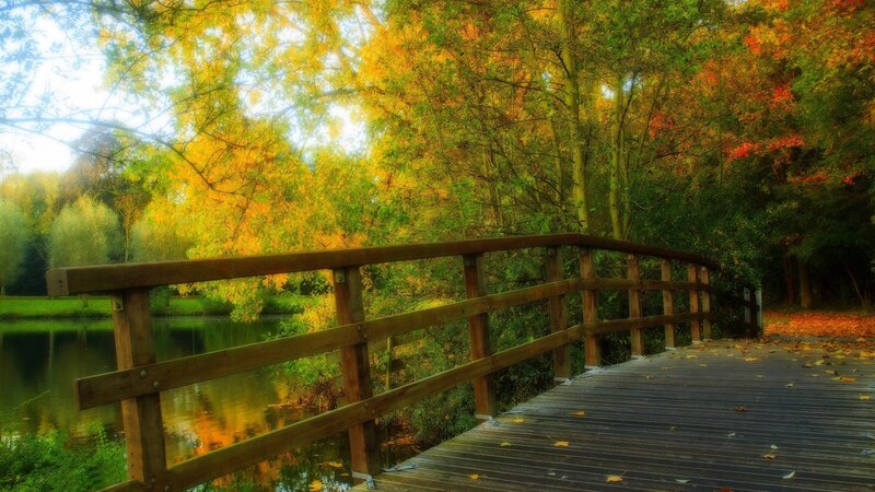 Wooden Bridge in Autumn — Yellow, Serene, Photograph, River