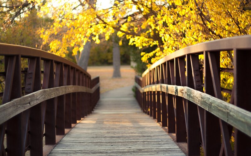 Wooden Bridge in Autumn — Yellow, Serene, Photograph, Trees