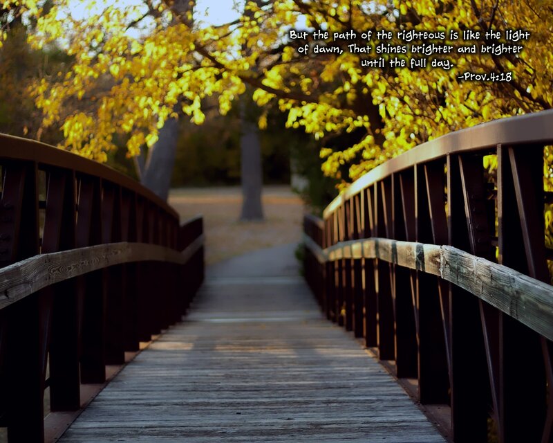 Wooden Bridge in Autumn — Yellow, Serene