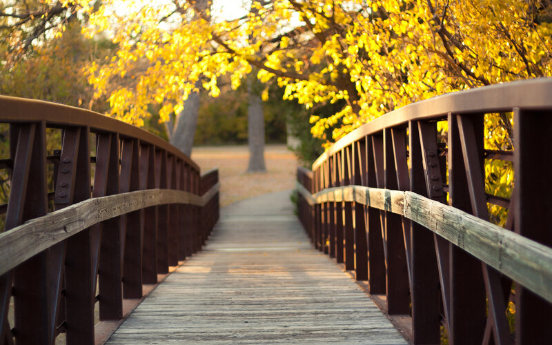 Wooden Bridge in Autumn — Yellow