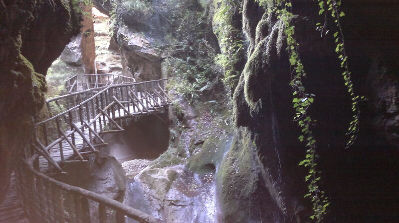 Wooden Bridge in Canyon — Green