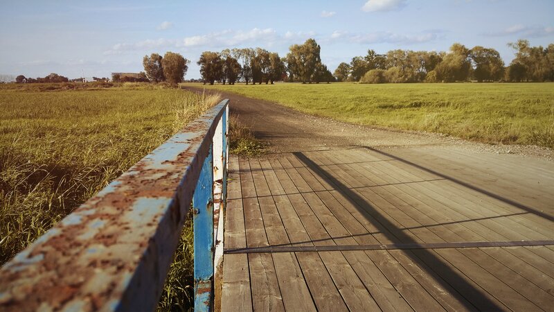 Wooden Bridge in Field — Brown, Serene