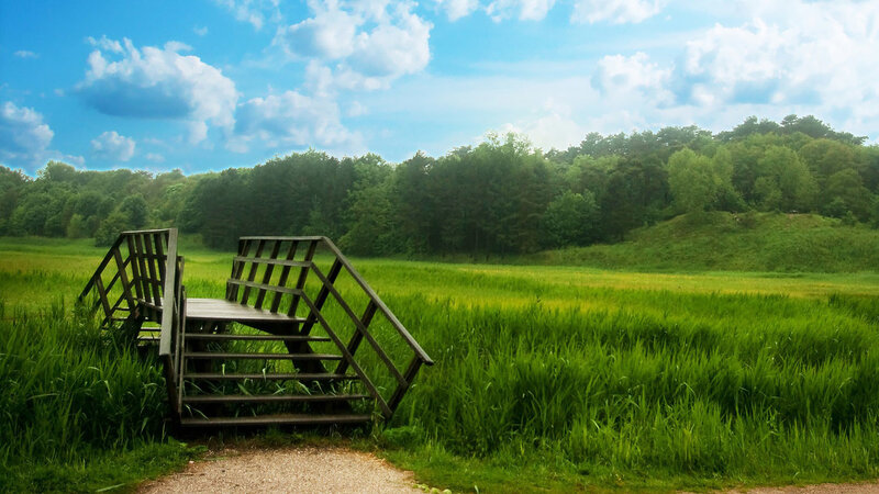 Wooden Bridge in Field — Green, Serene