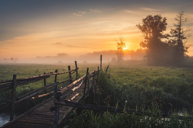 Wooden Bridge in Field — Orange