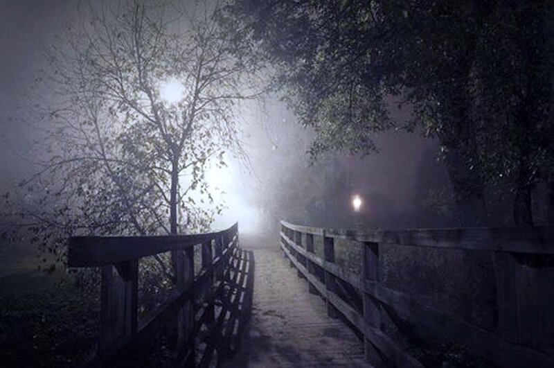 Wooden Bridge in Fog — Black