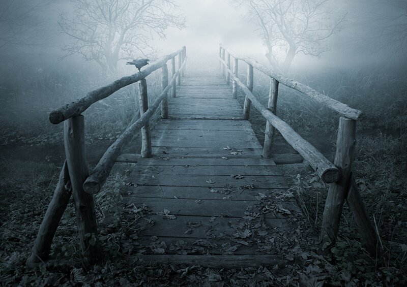 Wooden Bridge in Fog — Gray