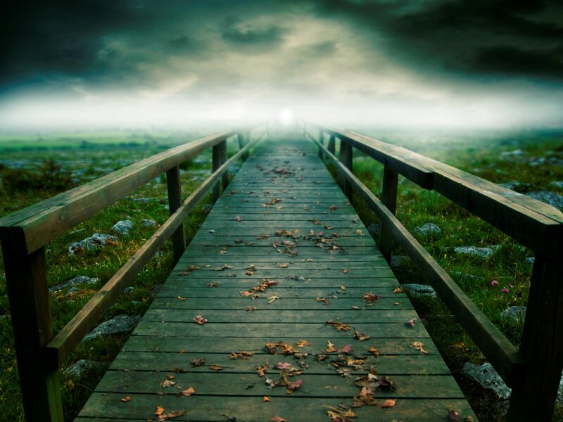 Wooden Bridge in Fog — Green