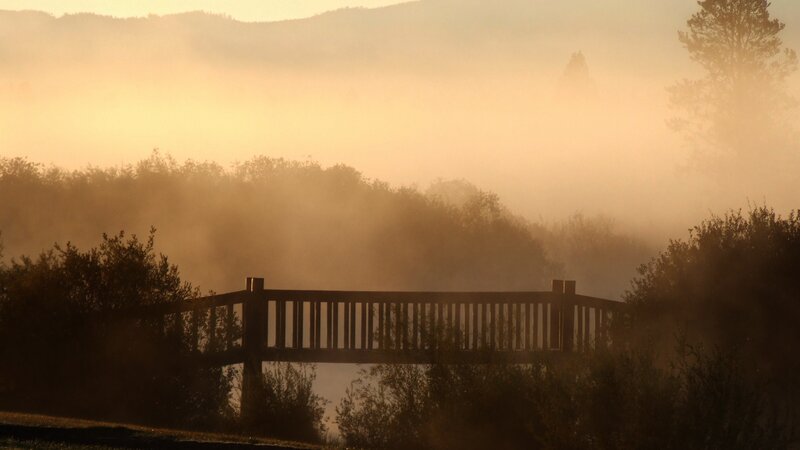 Wooden Bridge in Fog — Orange