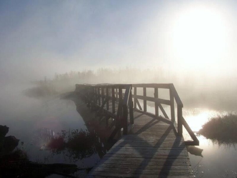 Wooden Bridge in Fog