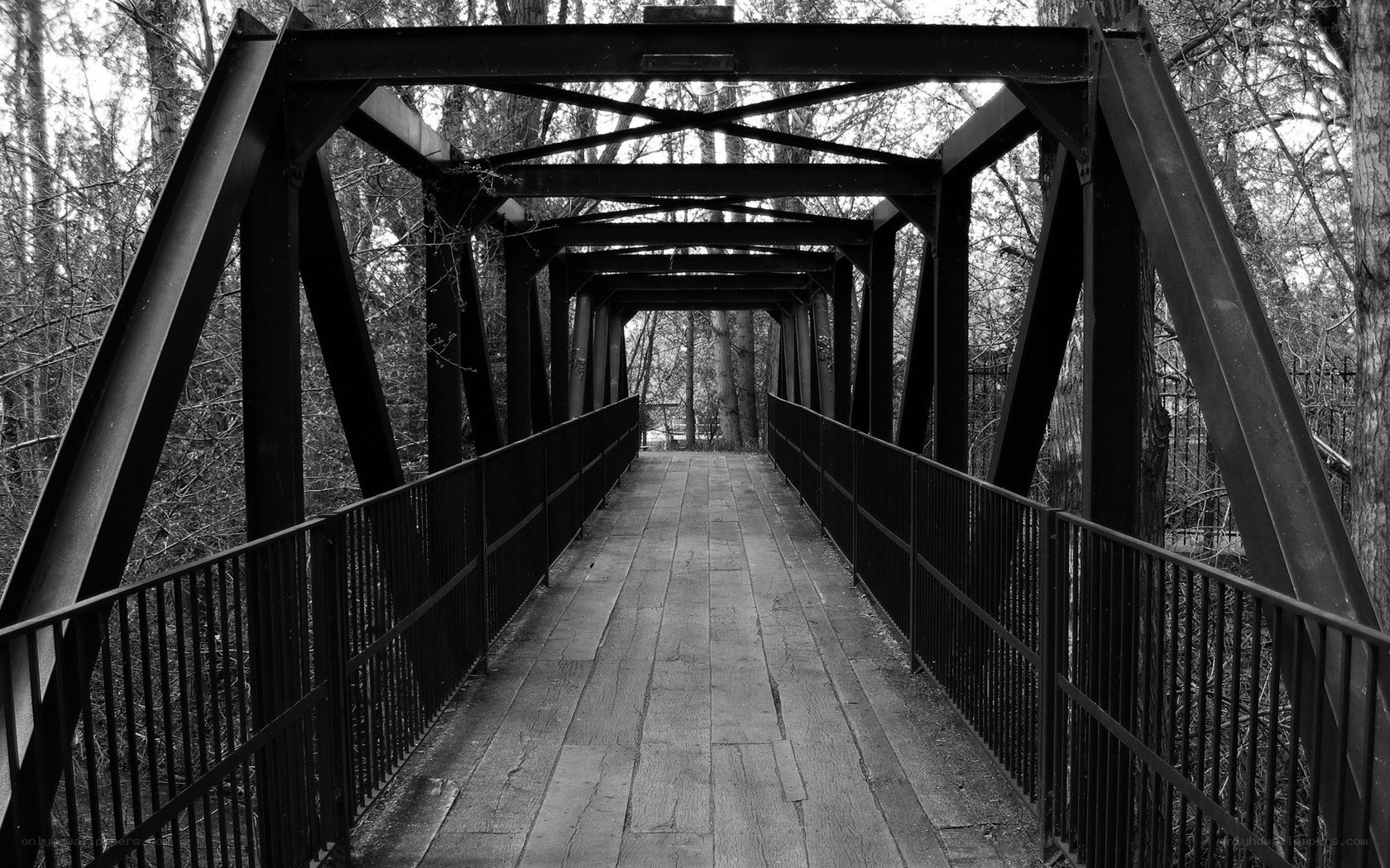 wooden bridge in forest
