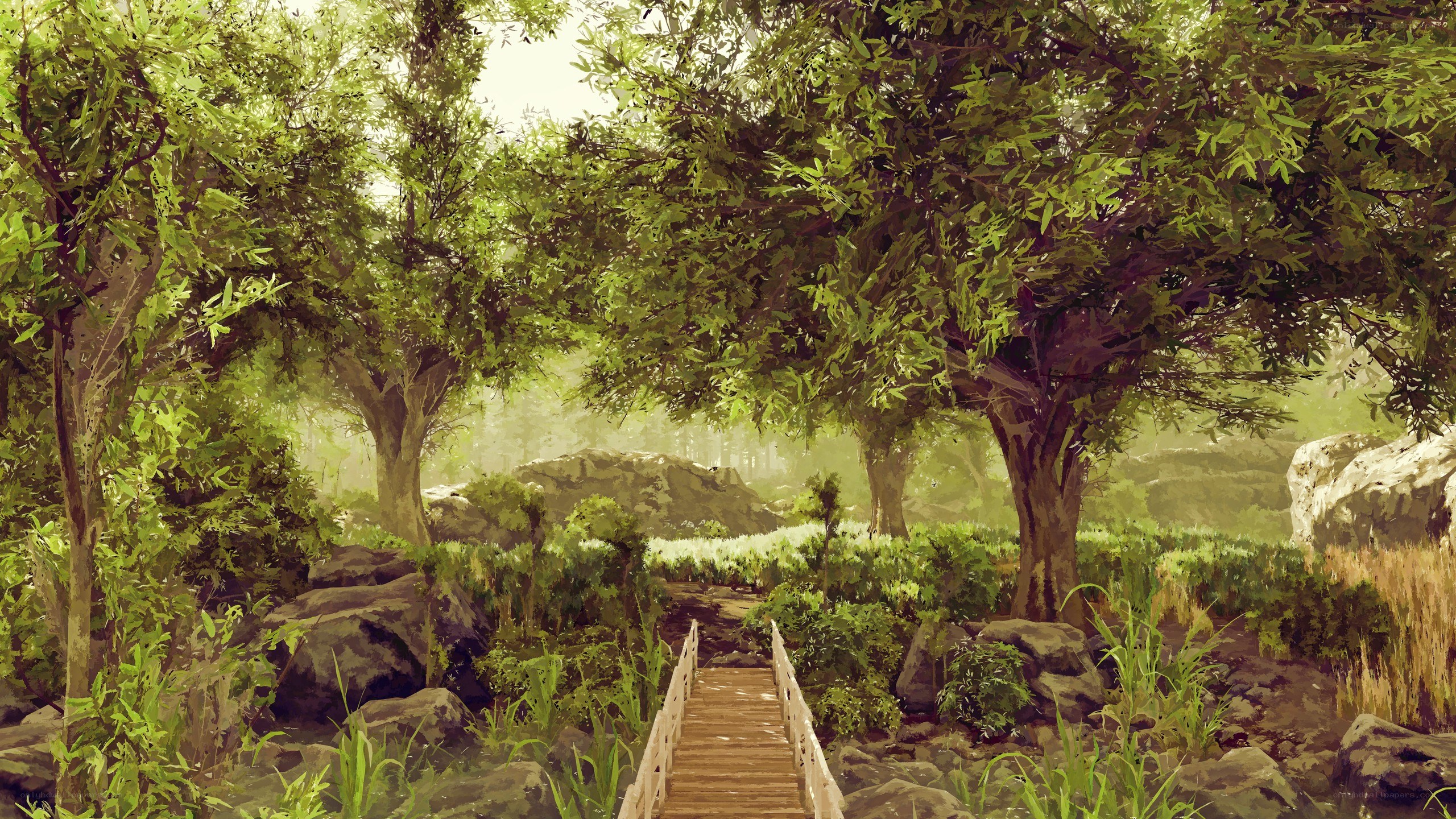 Wooden bridge in forest