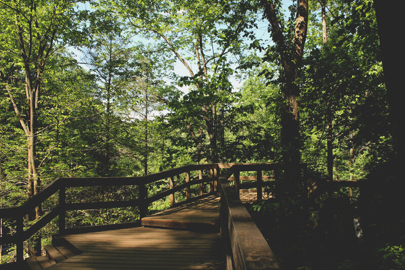 Wooden bridge in forest