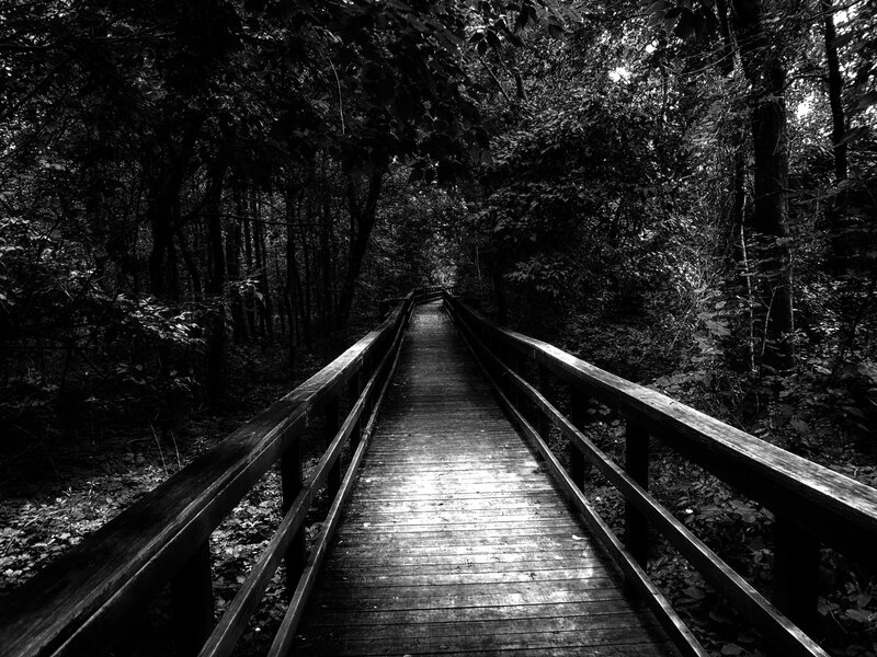 Wooden Bridge in Forest — Black, Dark