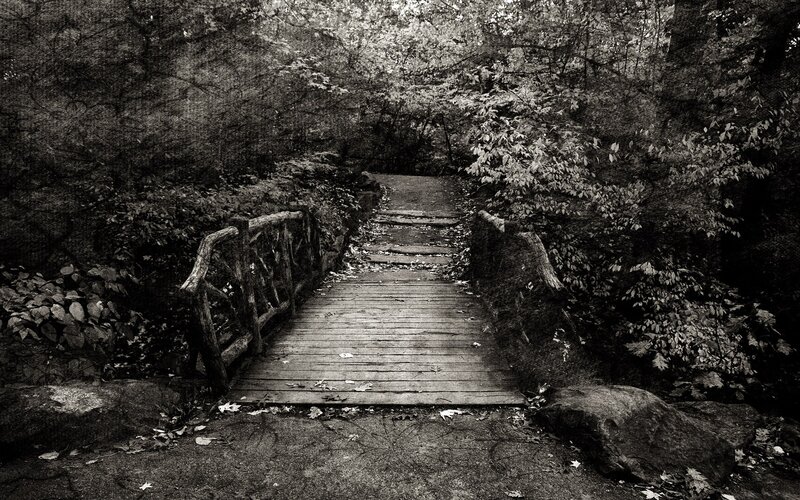 Wooden Bridge in Forest — Black, Serene, Autumn