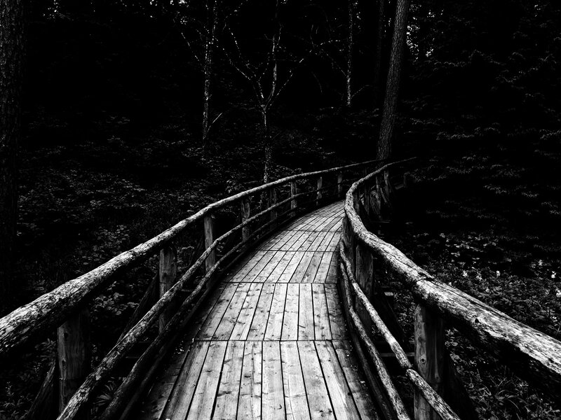 Wooden Bridge in Forest — Black
