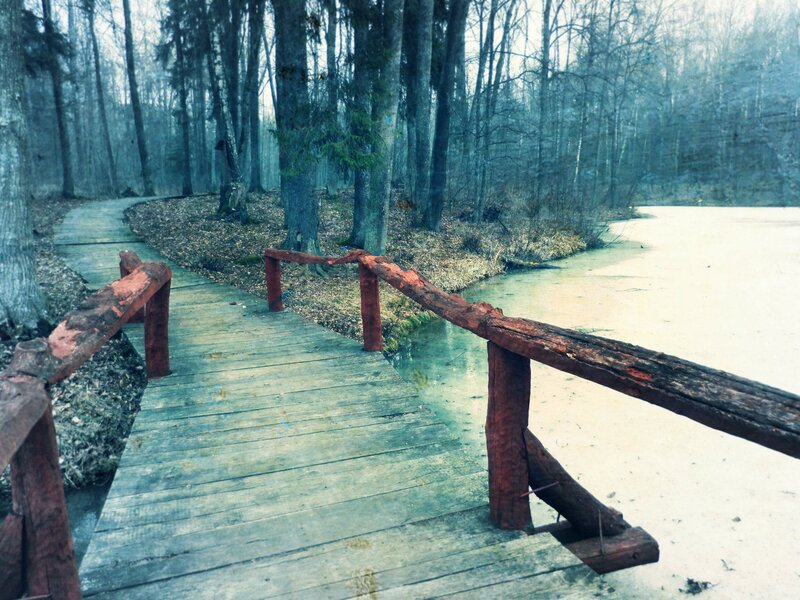 Wooden Bridge in Forest — Blue, Serene
