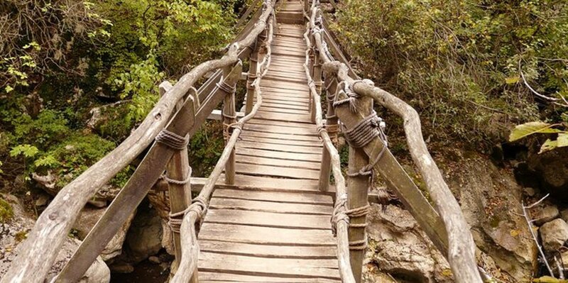Wooden Bridge in Forest — Brown, Natural