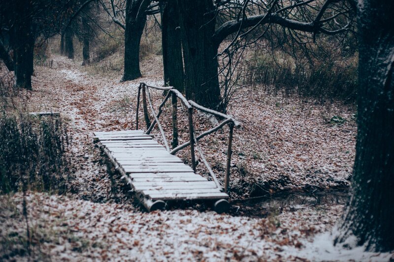 Wooden Bridge in Forest — Brown, Quiet
