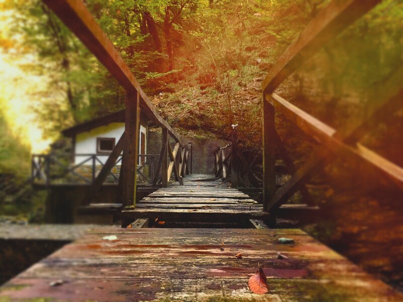 Wooden Bridge in Forest — Brown, Serene, Afternoon, Photograph