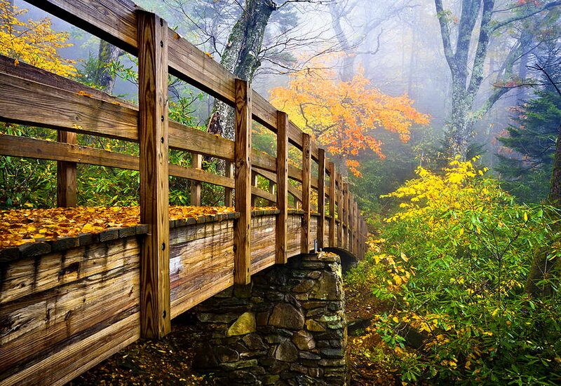 Wooden Bridge in Forest — Brown, Serene, Autumn, Photograph, Fall Foliage