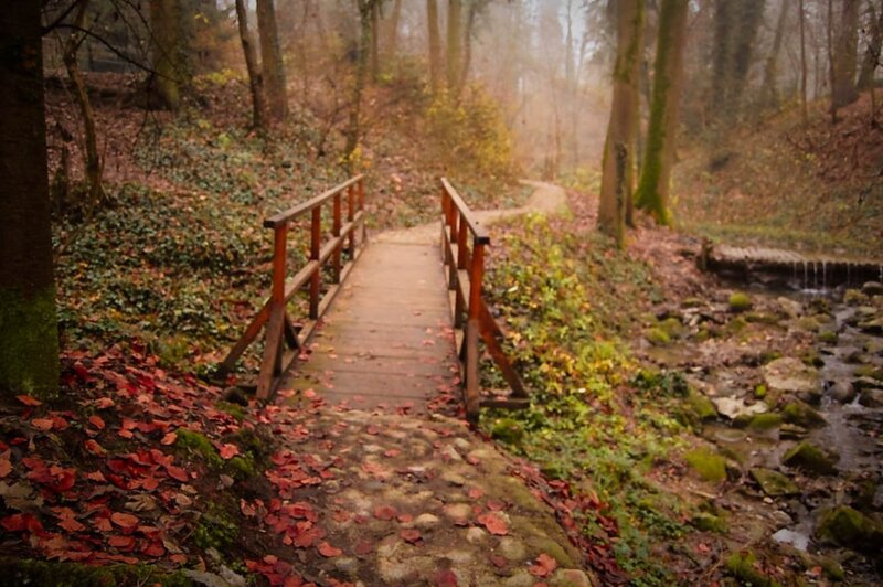 Wooden Bridge in Forest — Brown, Serene, Autumn, Photograph, Stream