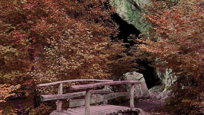 Wooden Bridge in Forest — Brown, Serene, Autumn, Photograph, Trees, Cave
