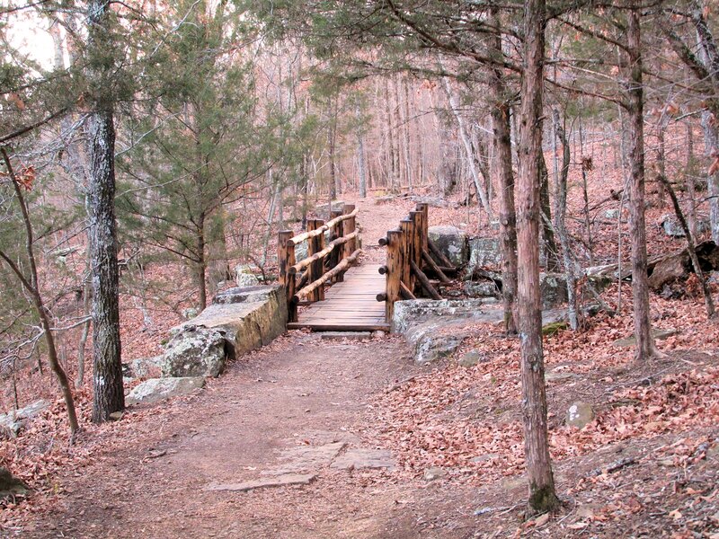 Wooden Bridge in Forest — Brown, Serene, Autumn, Photograph, Trees, Path
