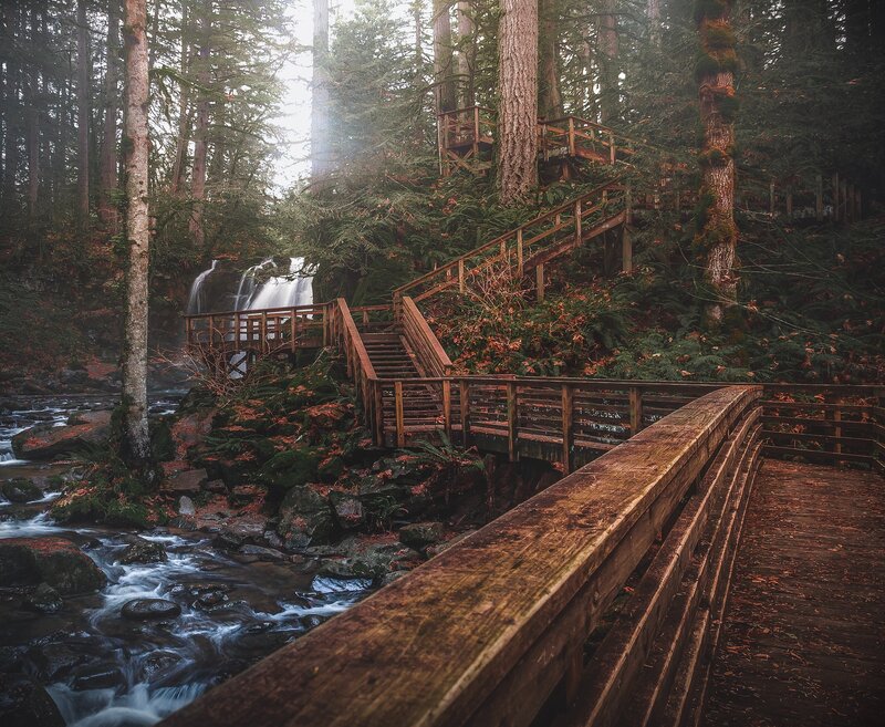 Wooden Bridge in Forest — Brown, Serene, Morning, Photograph, Stream